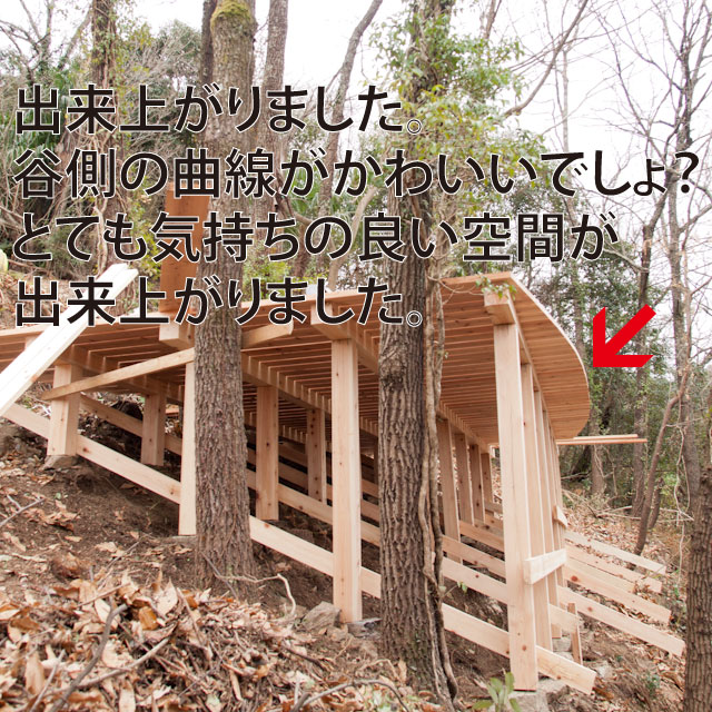 ウッドデッキ見上