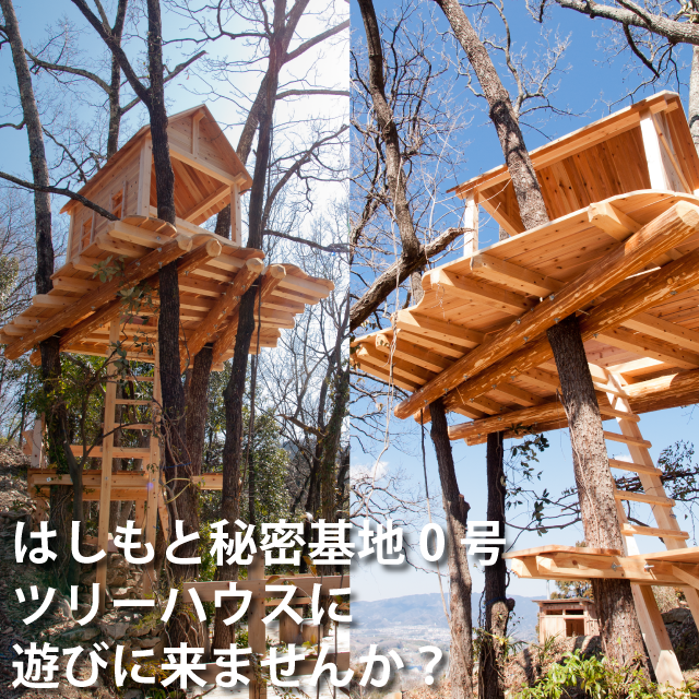 遊びに来ませんか?