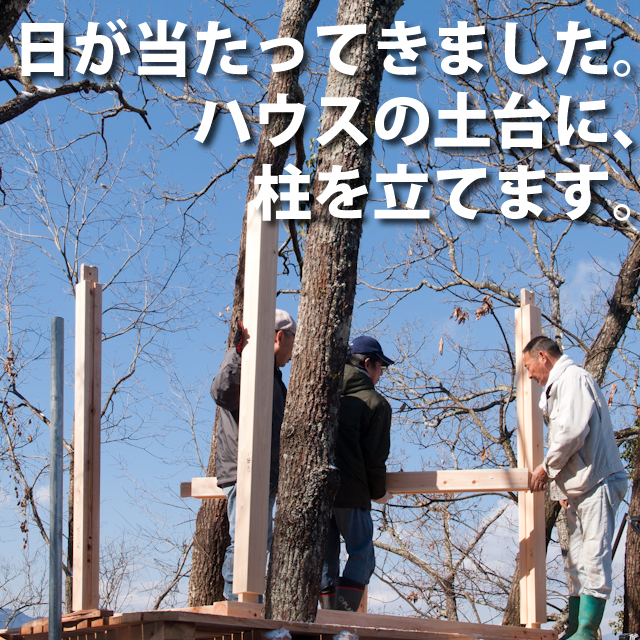 土台の上にハウスの柱を立てます