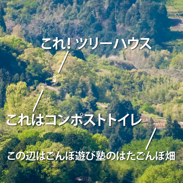 橋本商工会館から見るツリーハウス