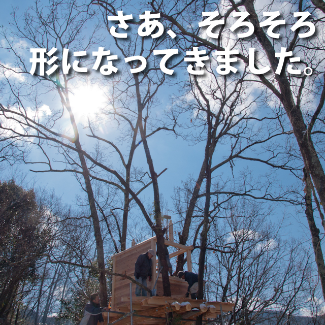 もうすぐ棟木が上がります