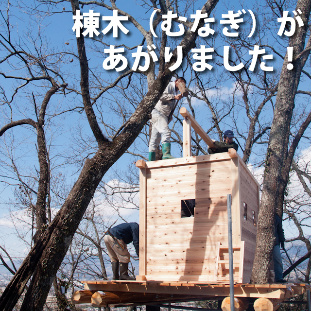 棟木が上がりました