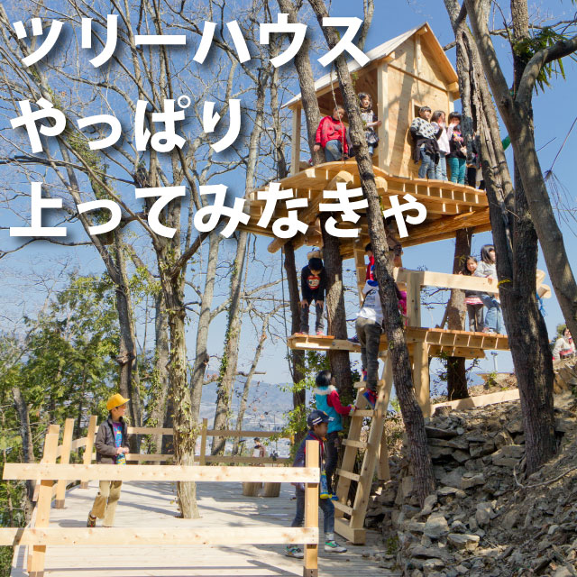 上ってみなきゃ