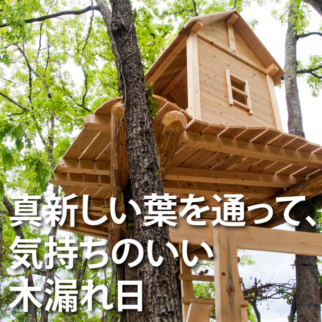 木漏れ日ツリーハウス