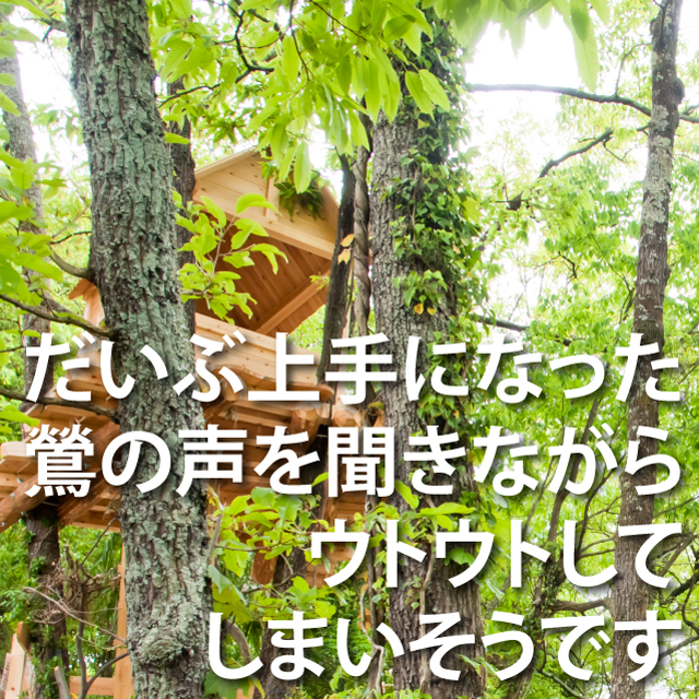 鶯と昼寝