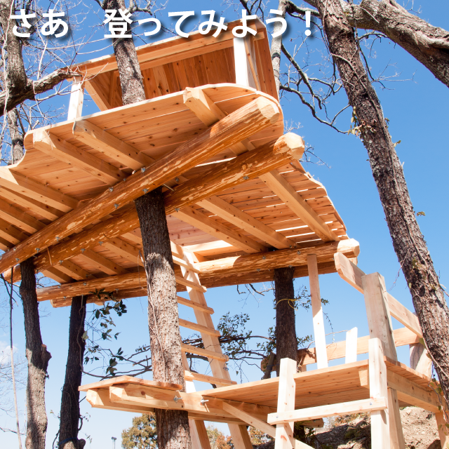 登ってみよう