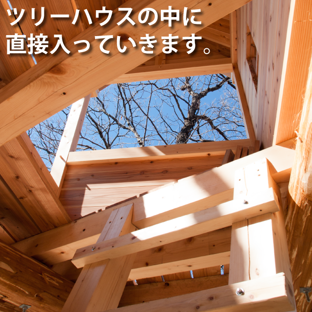 ツリーハウスの中に