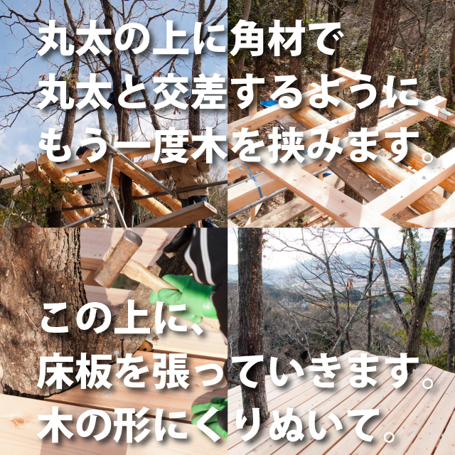 �ĥ꡼�ϥ����ǥå�����