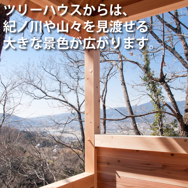 ツリーハウスからの眺望