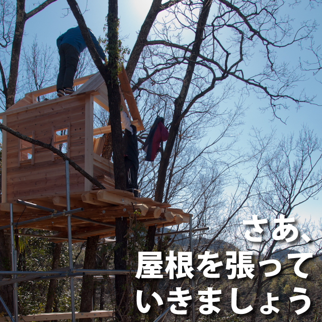 屋根を張ります