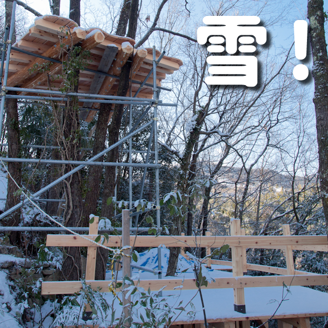 雪!