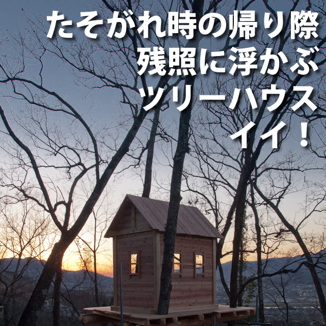 残照のツリーハウス
