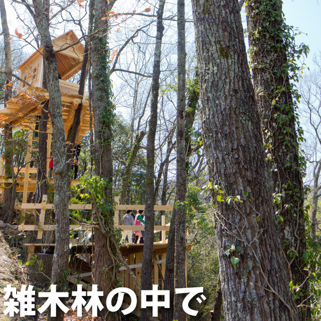 雑木林の中で
